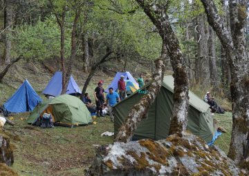 Laya Gasa Trek
