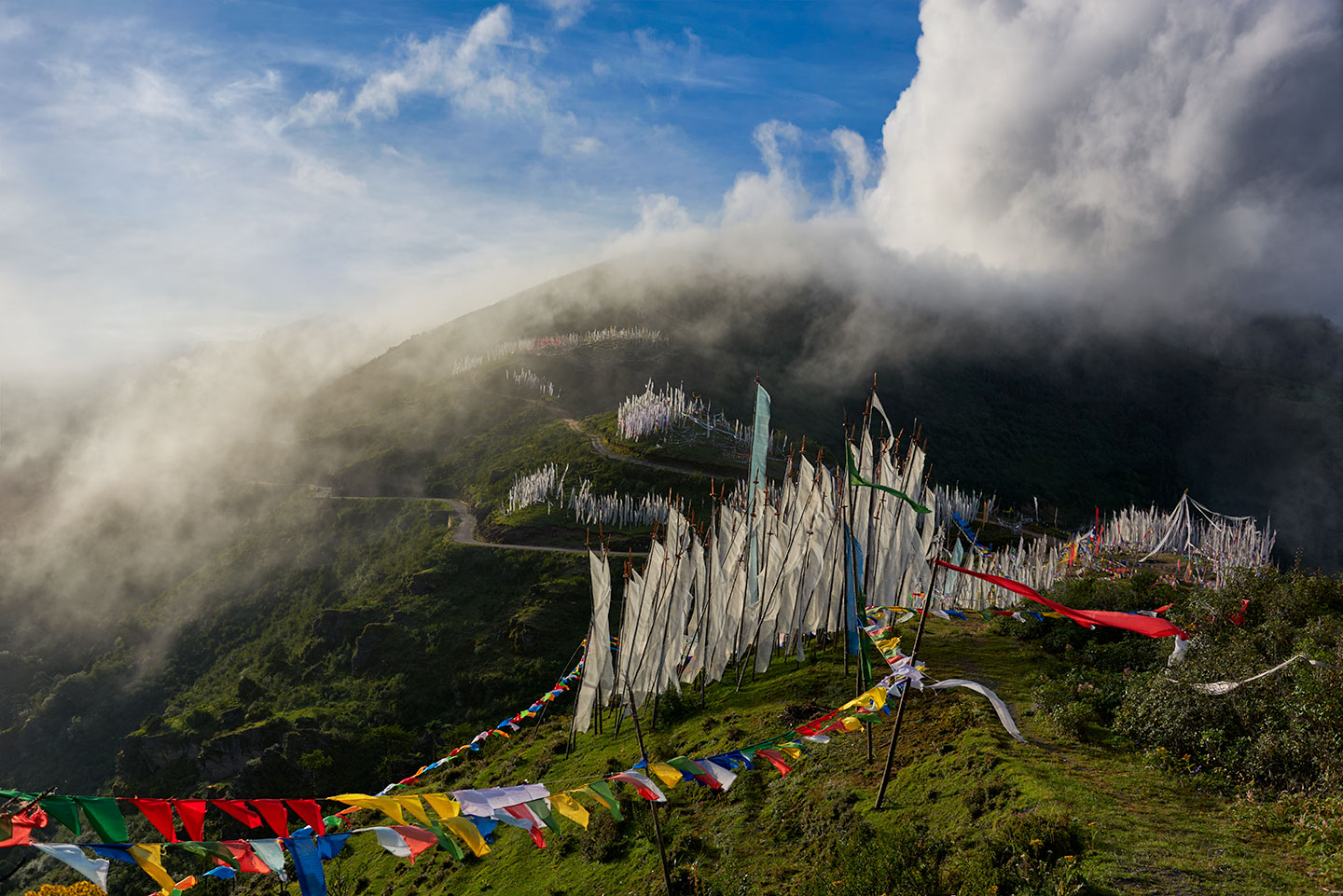 Chelela-Pass-Fog-Working-1440x960-60q