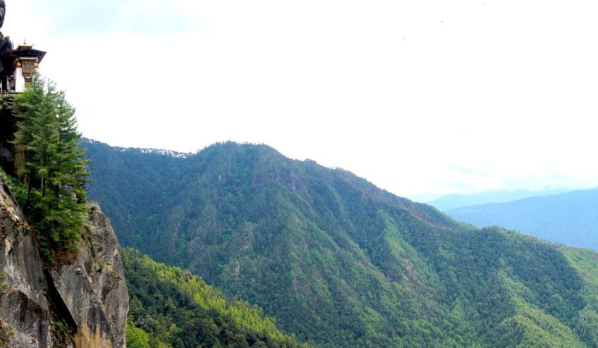 Tiger Nest