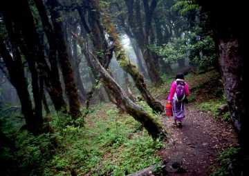 Jomolhari Loop Trek