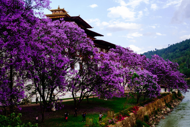 Punakha2BDzong2B252812529