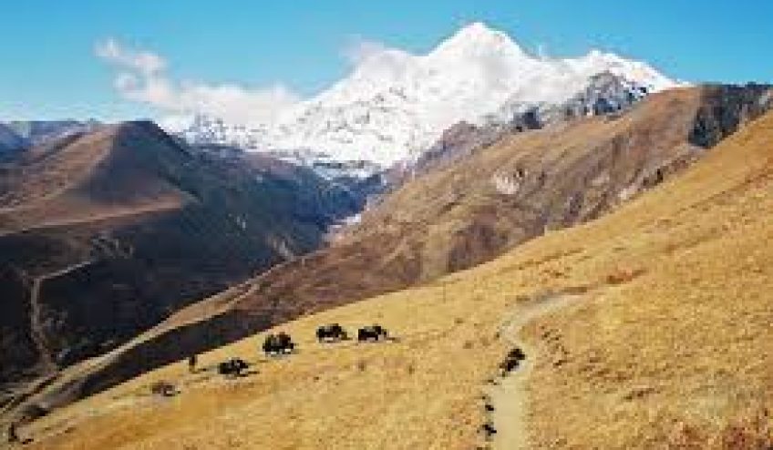 Druk-Path-Trek