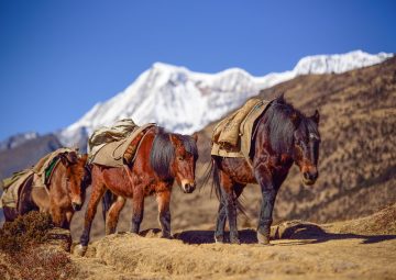 Bhutan Sagala Trek